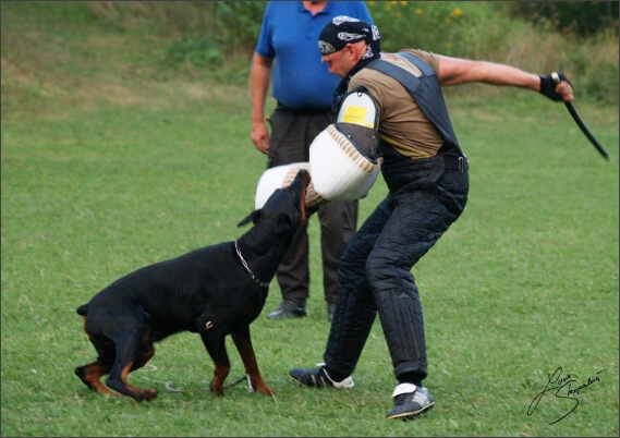 Summer training camp - Jelenec - 2007